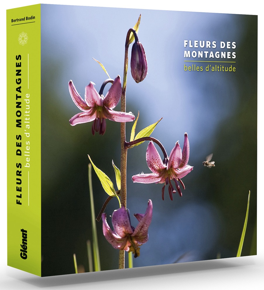Fleurs des montagnes : Belles d'altitude