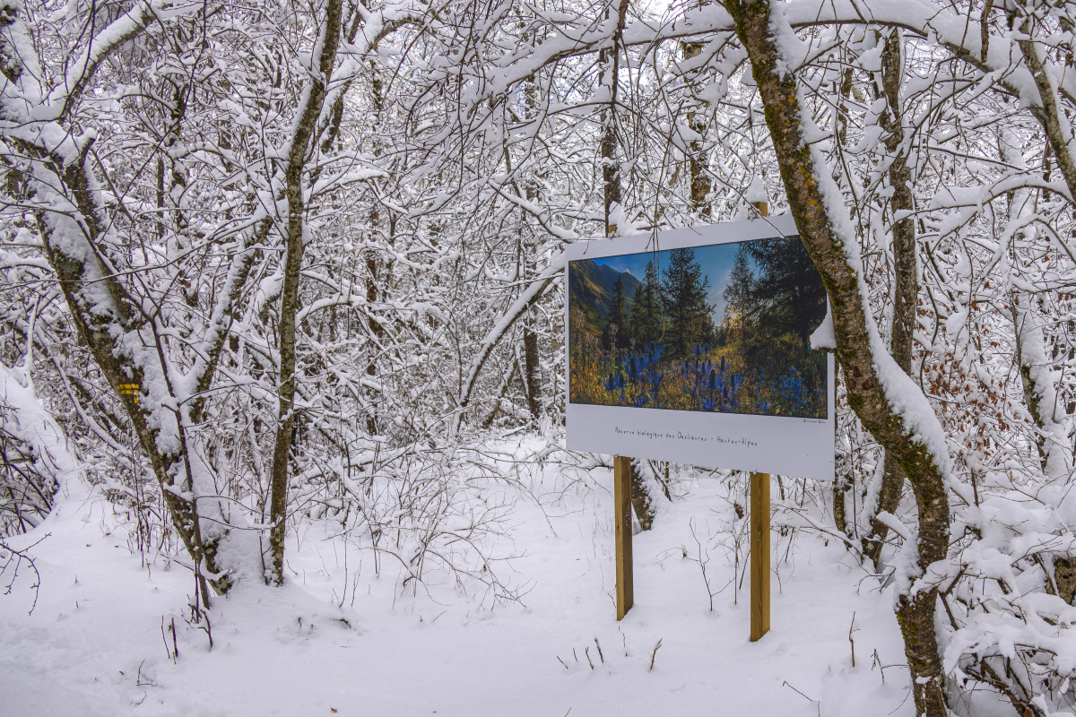 Lumières alpines, exposition photographique de Bertrand Bodin, Réserve biologique de Deslioures