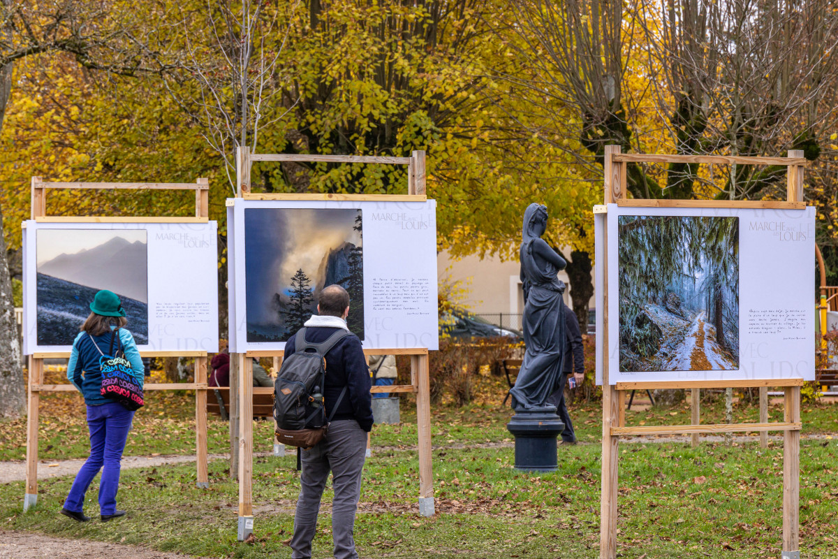 Marche avec les loups, exposition photographique de Bertrand Bodin, Festival de Montier
