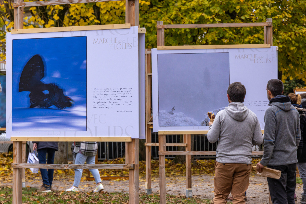 Marche avec les loups, exposition photographique de Bertrand Bodin, Festival de Montier
