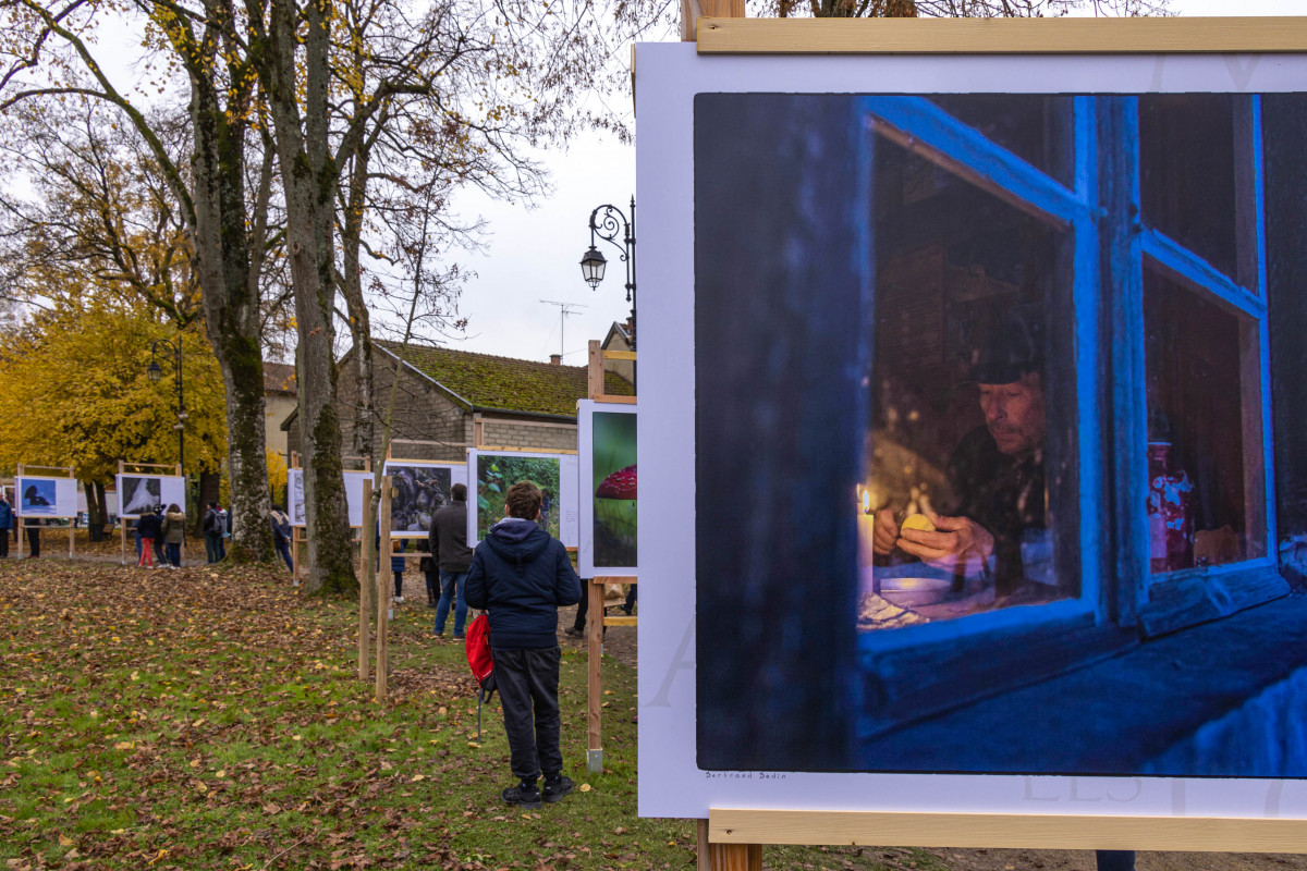 Marche avec les loups, exposition photographique de Bertrand Bodin, Festival de Montier