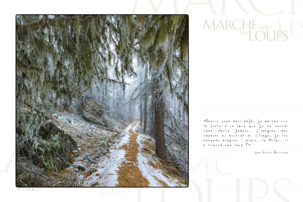 Marche avec les loups, exposition photographique de Bertrand Bodin, Chemin de Mal-Cros