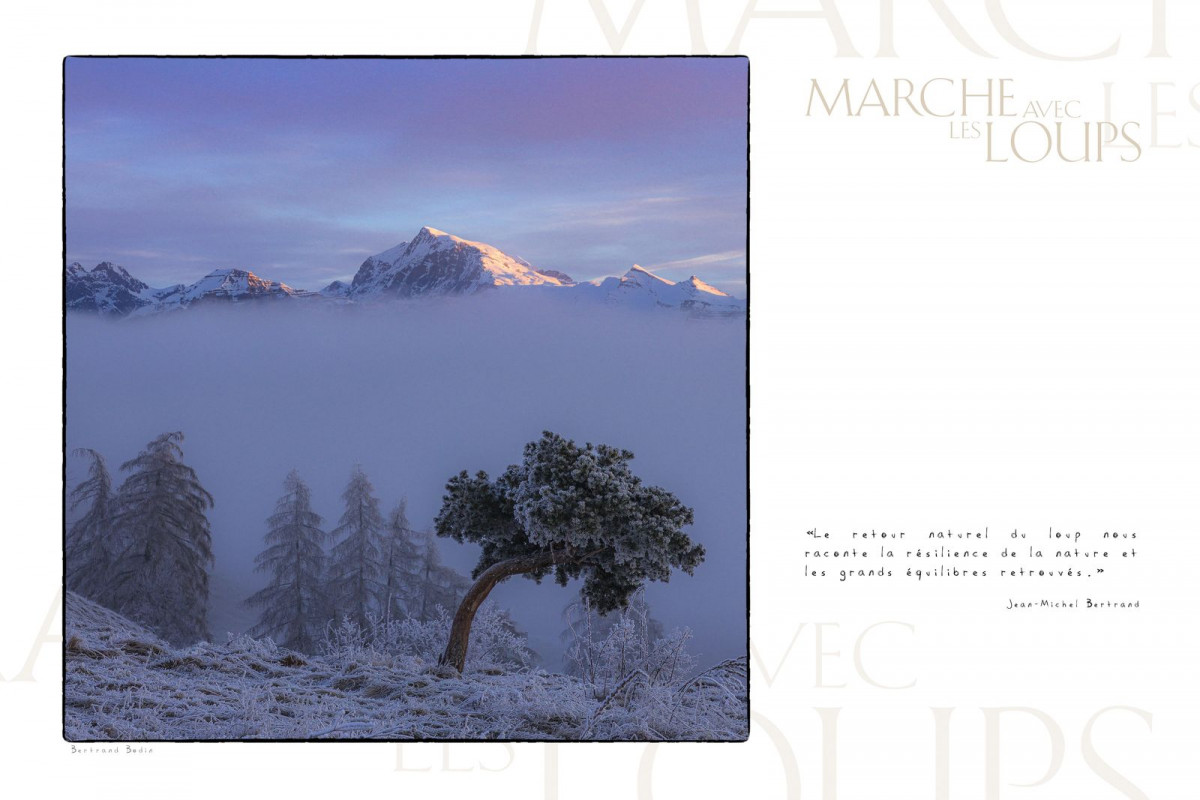 Marche avec les loups, exposition photographique de Bertrand Bodin, Chaillol