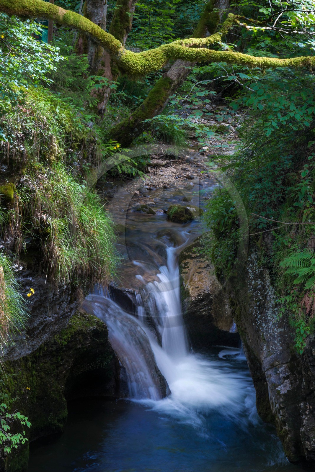 ENS de l'Isère, Les Ecouges