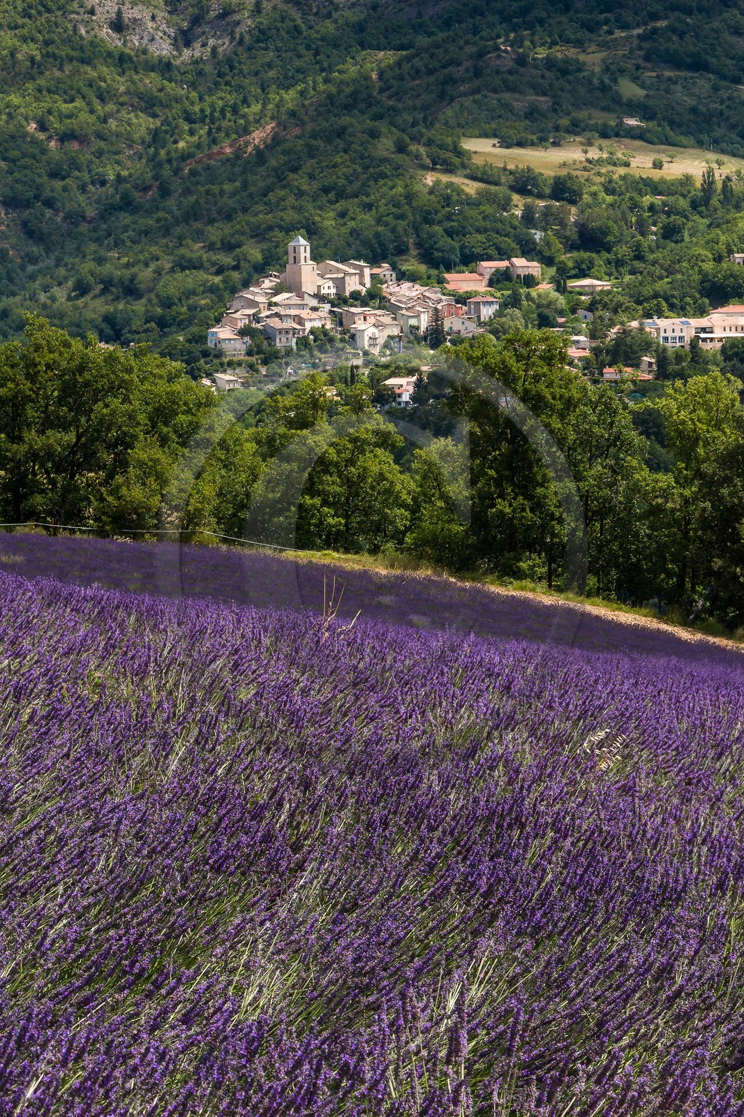 vallée des Duyes, Thoard