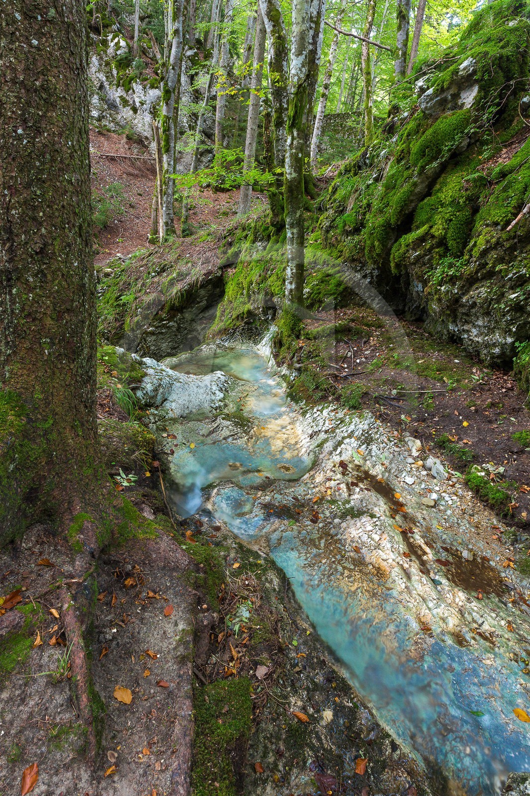 ENS de l'Isère, Les Ecouges