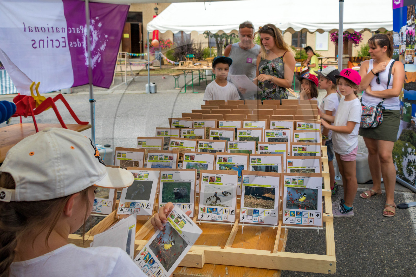 Festival L'Echo des mots