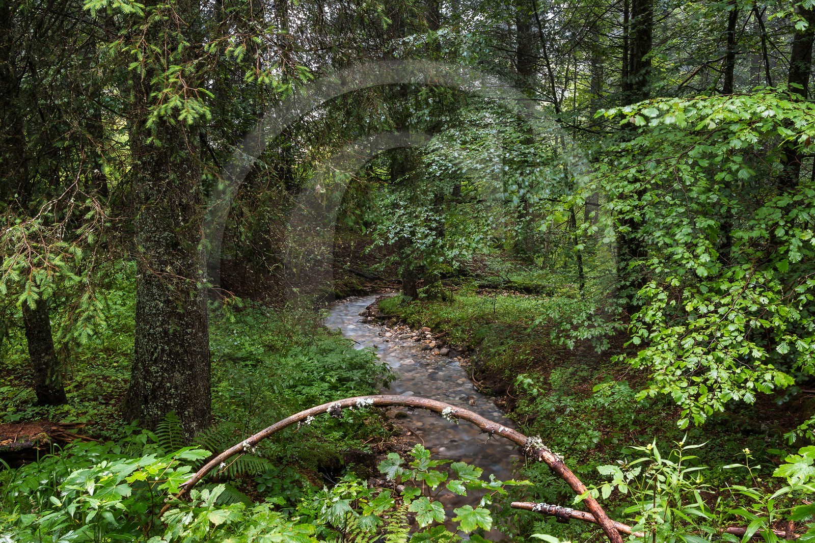 ENS de l'Isère, Les Ecouges