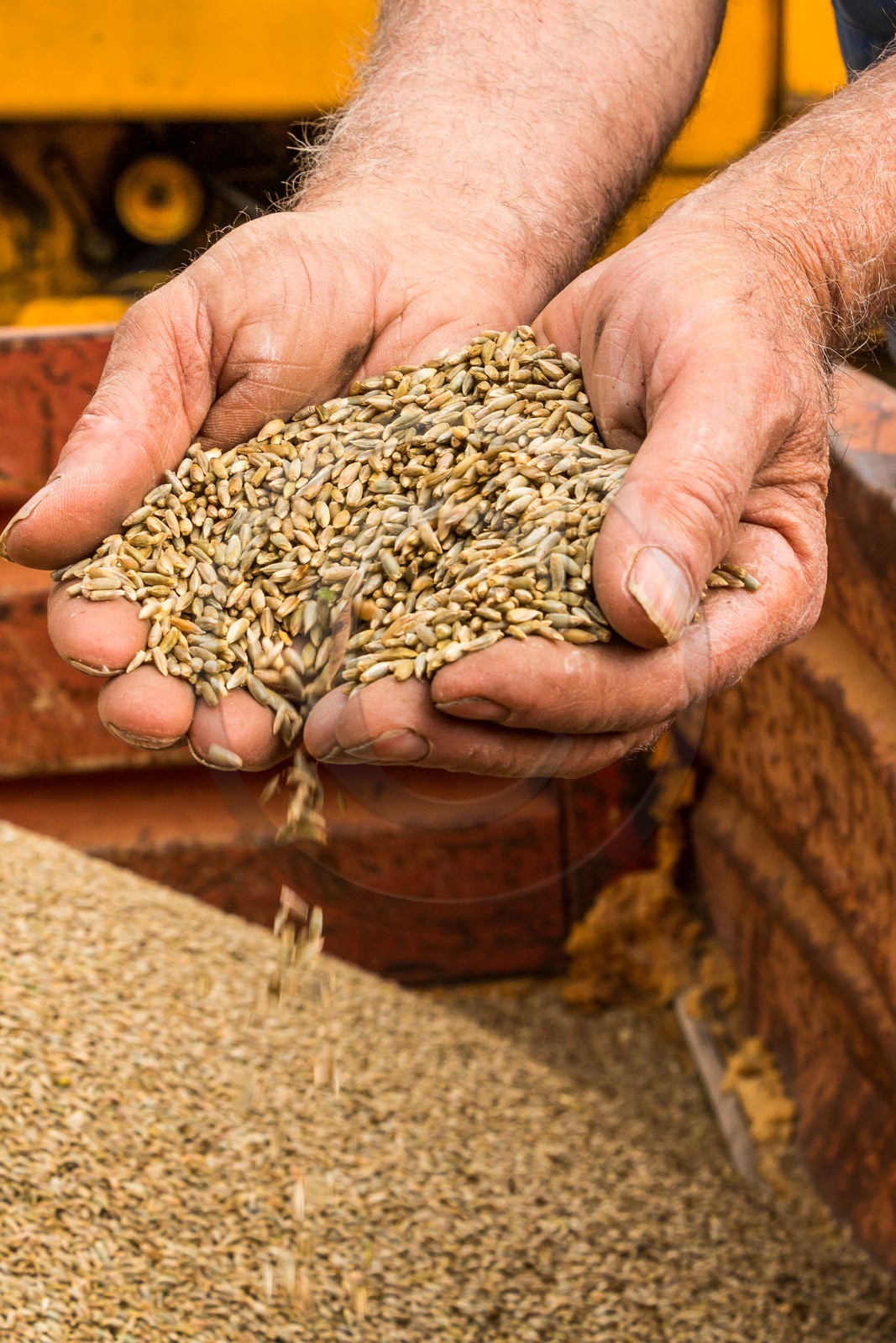 Ceillac, Christophe Gauthier, Exploitant agricole