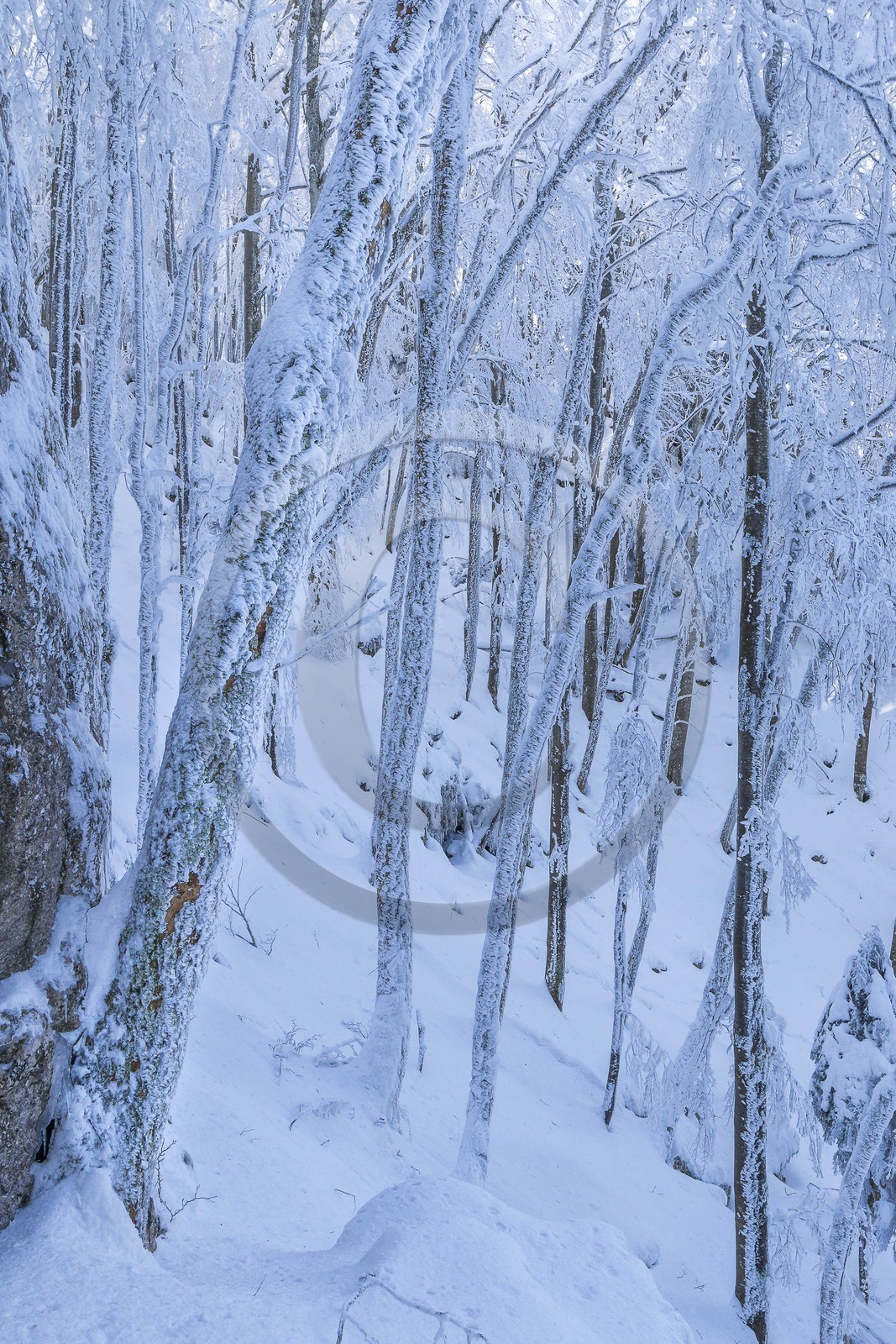 ENS de l'Isère, Les Ecouges