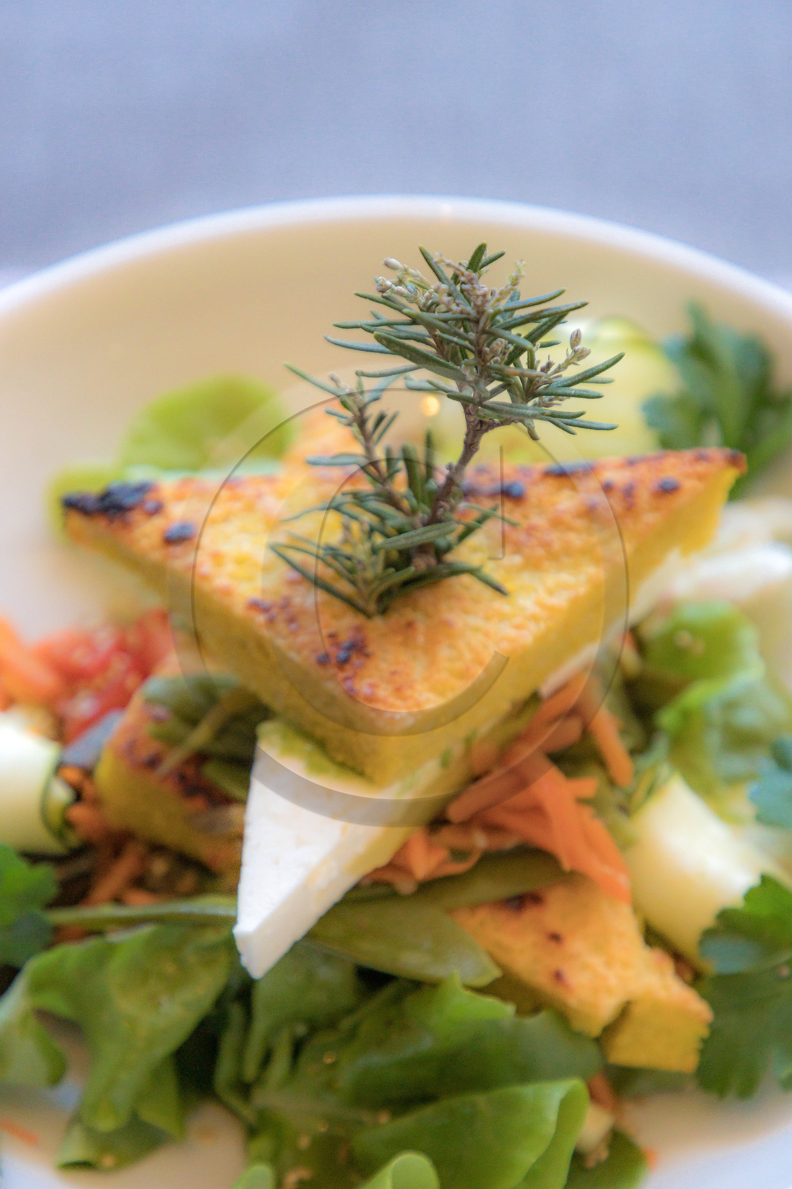 Hôtel de la Vanoise