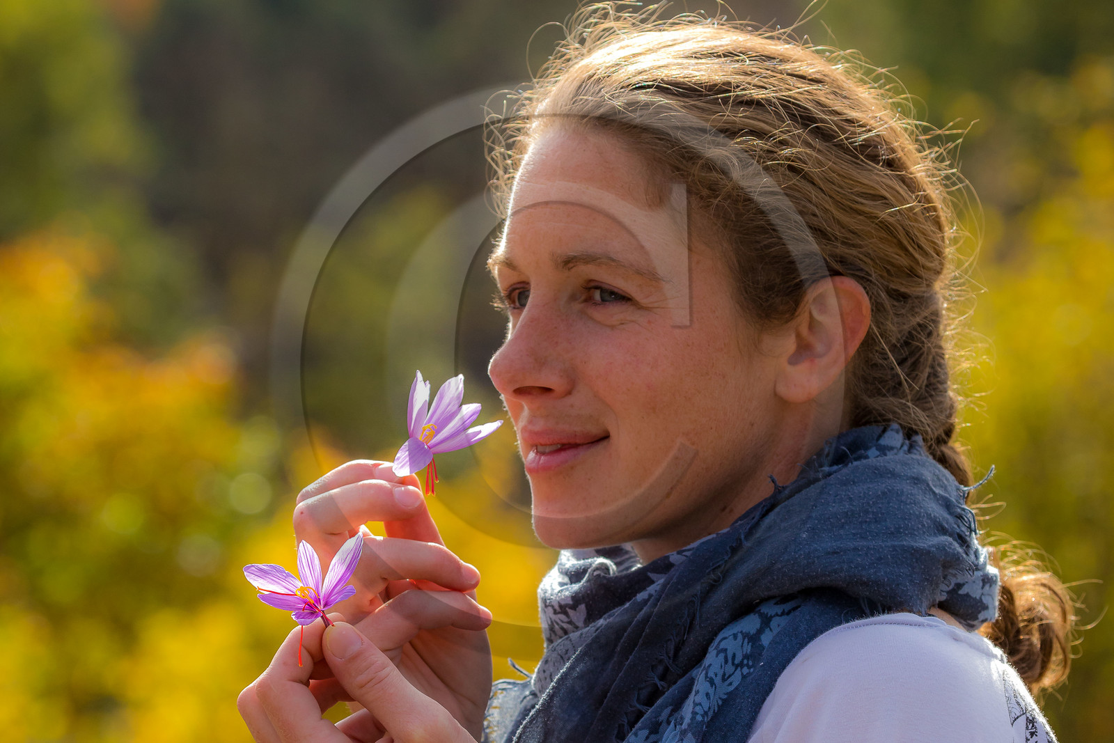 Melissa Bertrand-Pellisson,  safranière