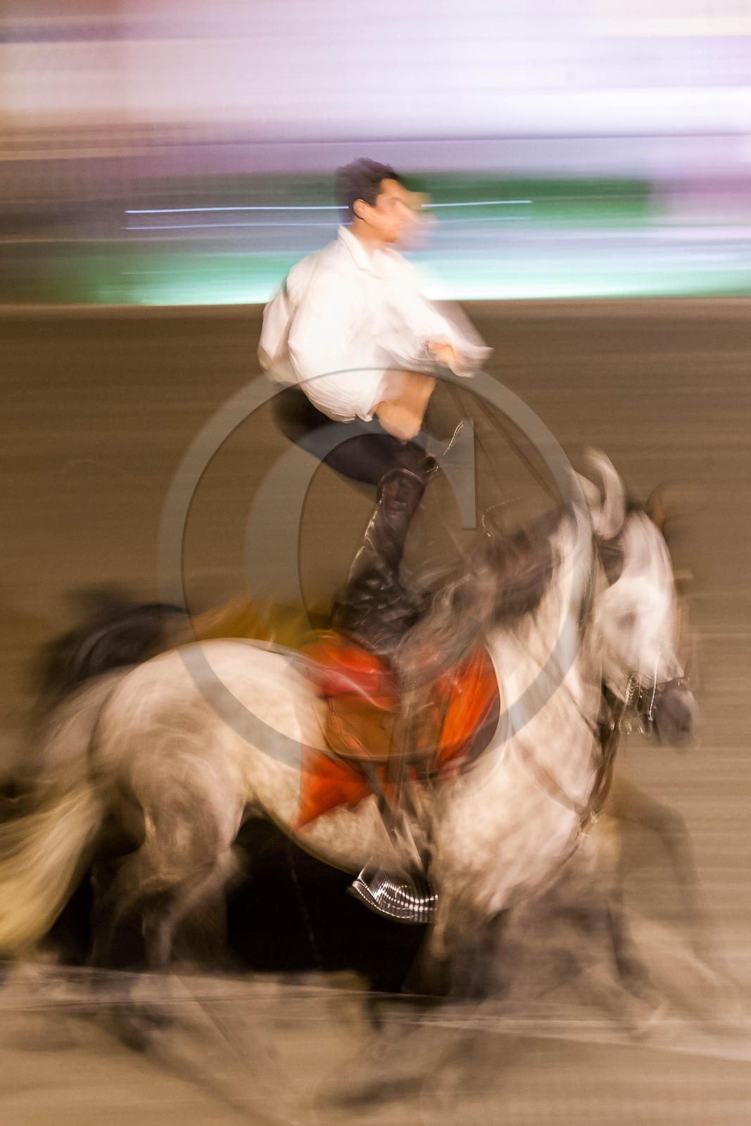 Mont-Dauphin, fortifications Vauban, caserne Rochambeau, spectacle équestre