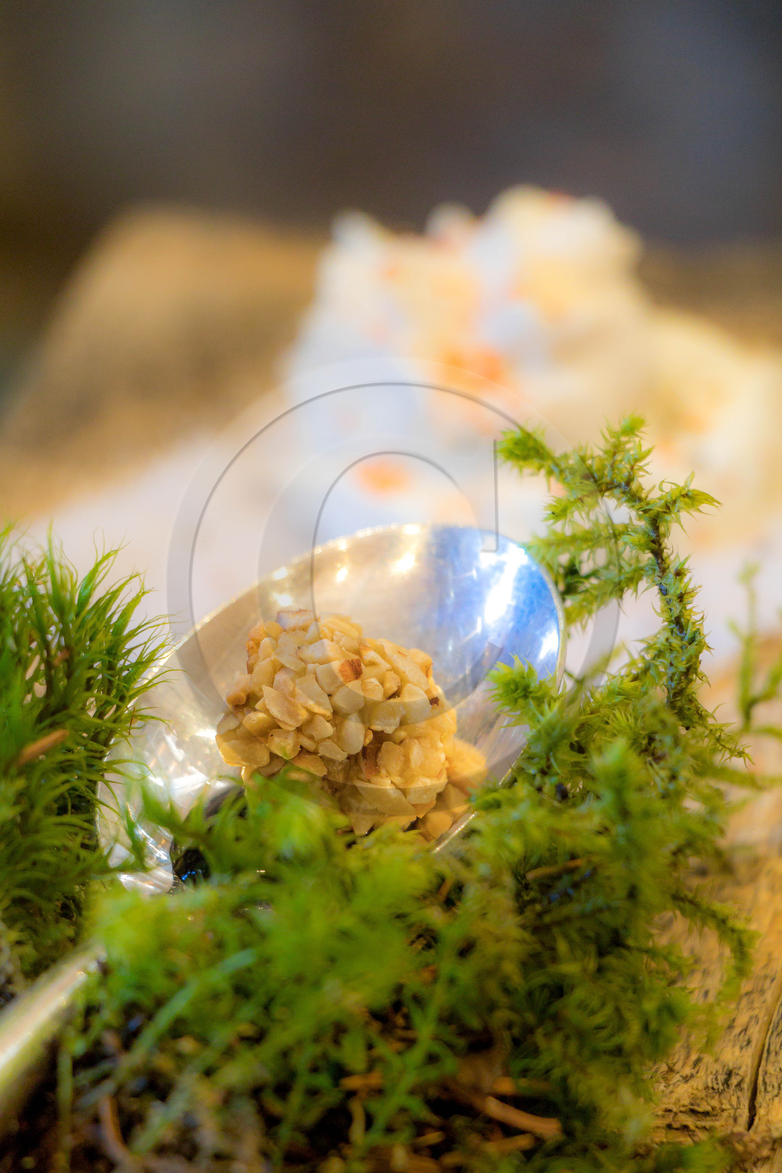 Apéritif dégustation