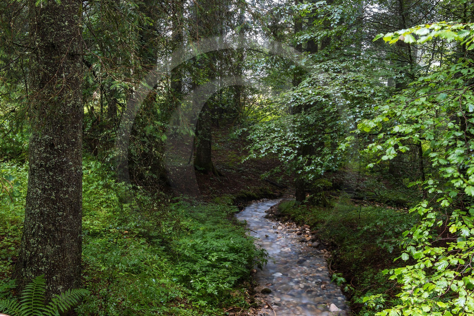 ENS de l'Isère, Les Ecouges