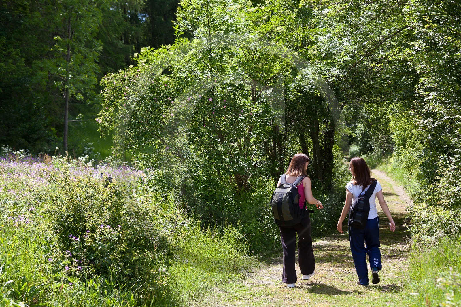 Randonnée champêtre