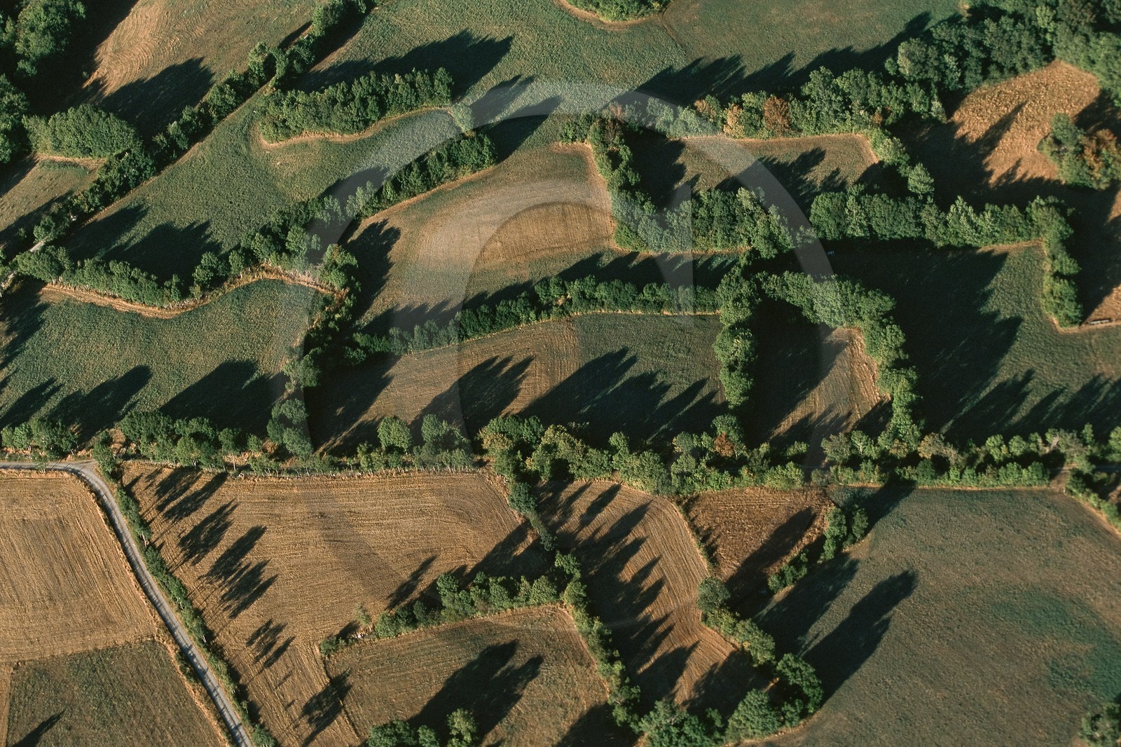 Vallée du Champsaur, le bocage