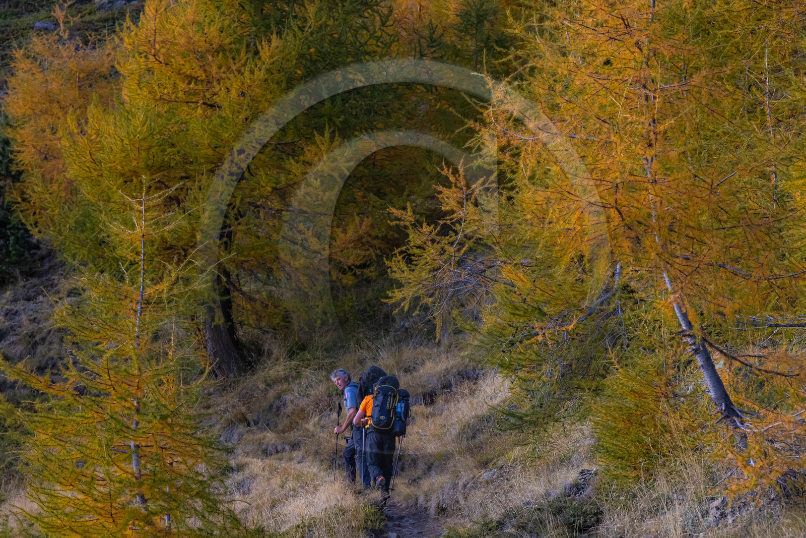 Marc Corail, garde-moniteur du Parc national des Ecrins