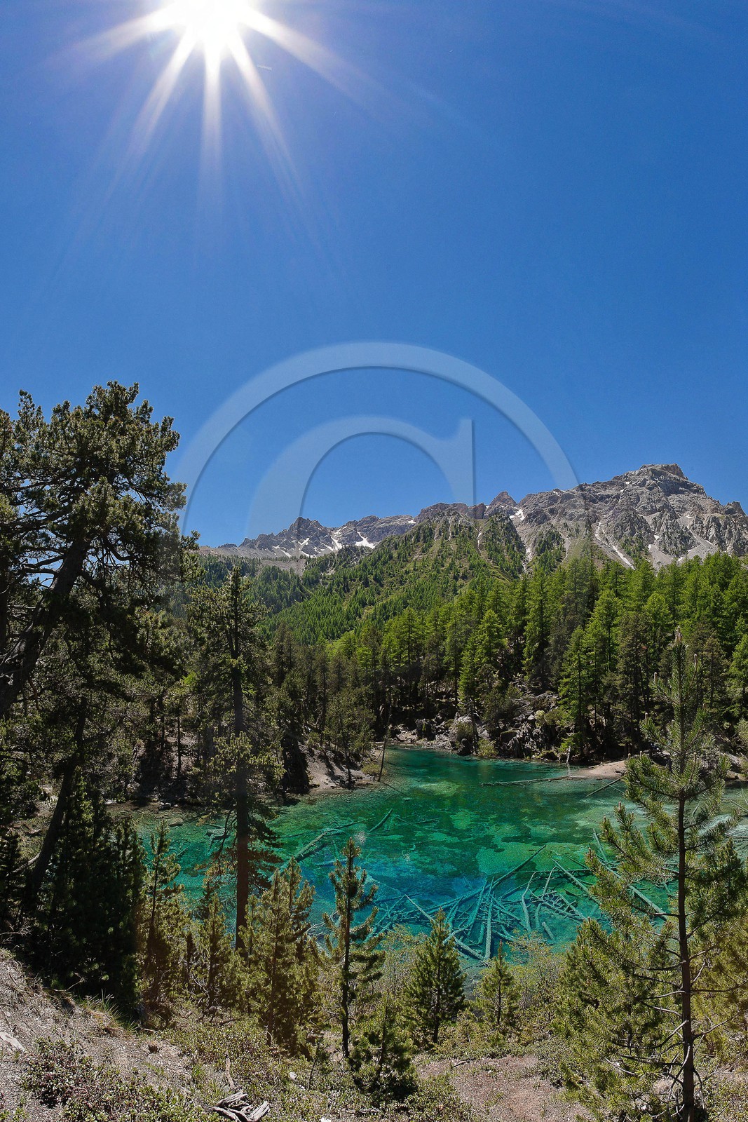 Lac Vert, vallée Etroite
