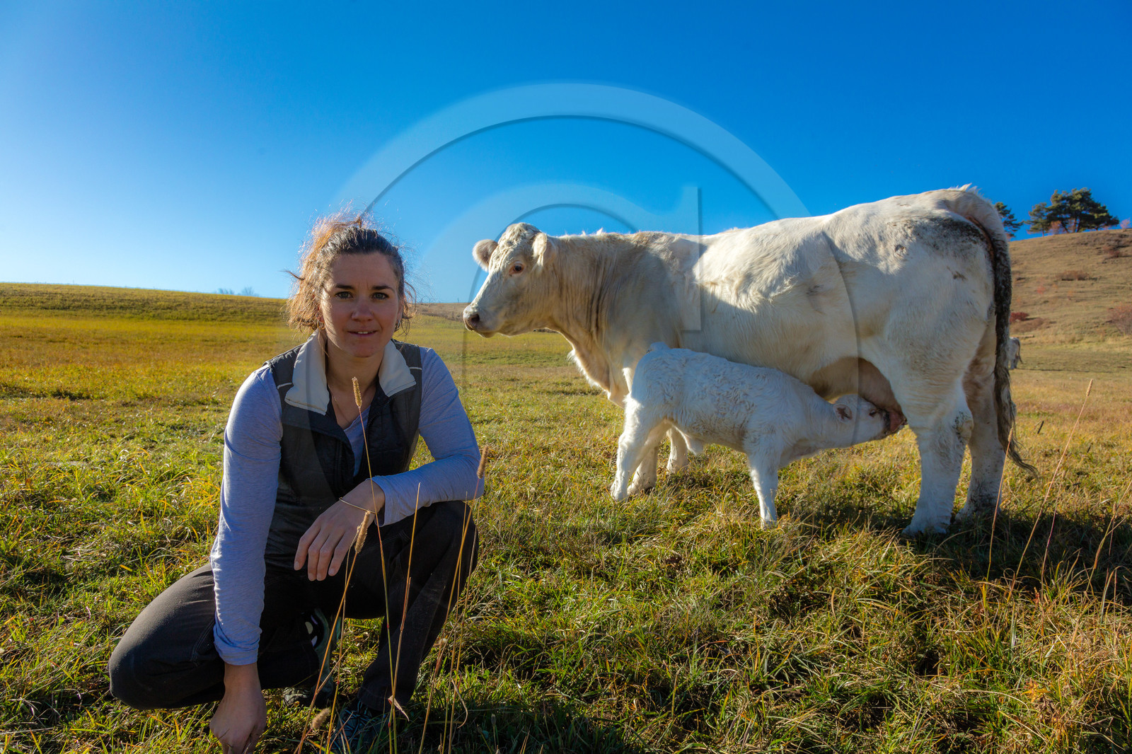 Ferme de Sauron, Laure Marcellin