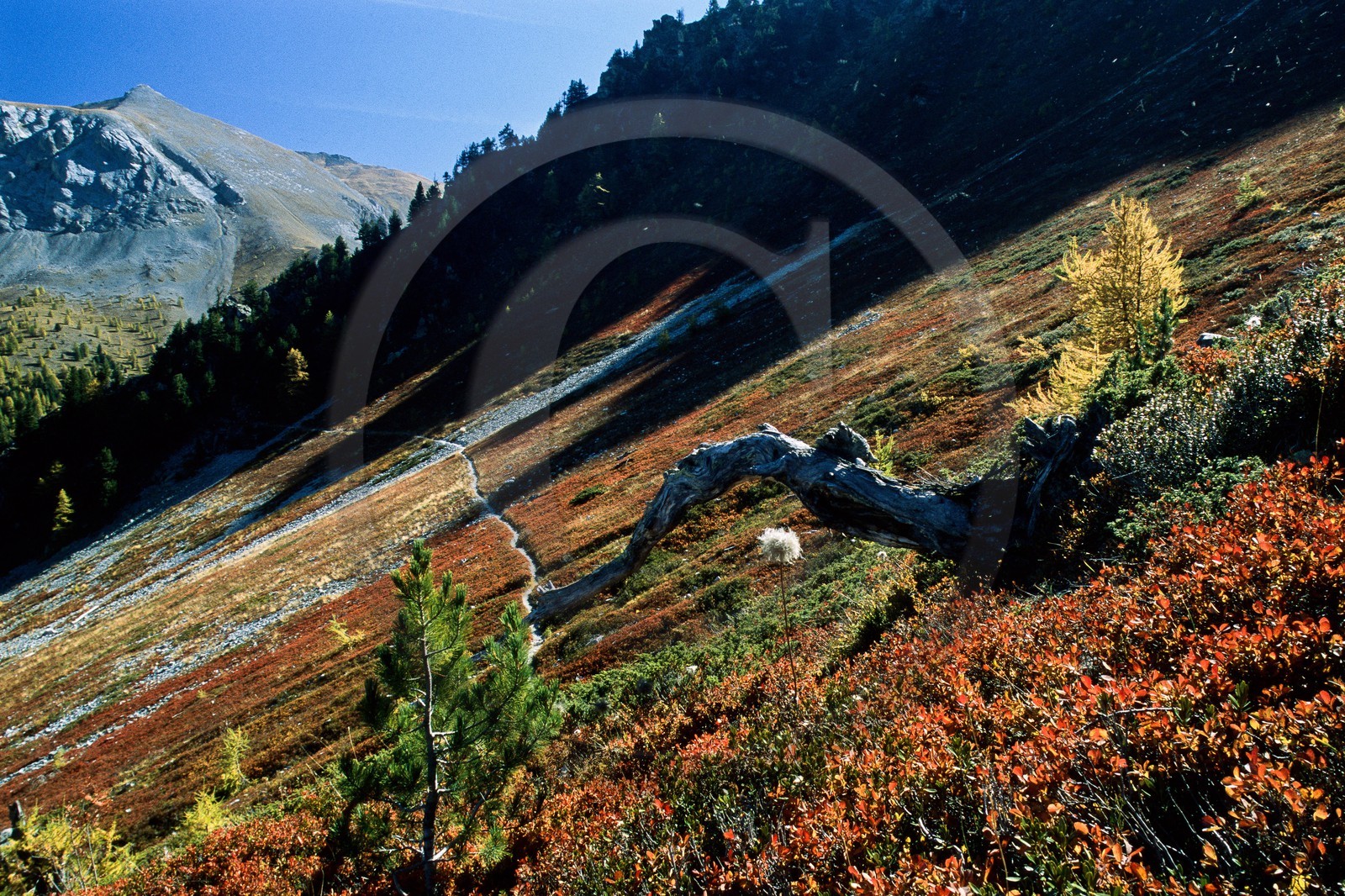 Sentier du col Fromage