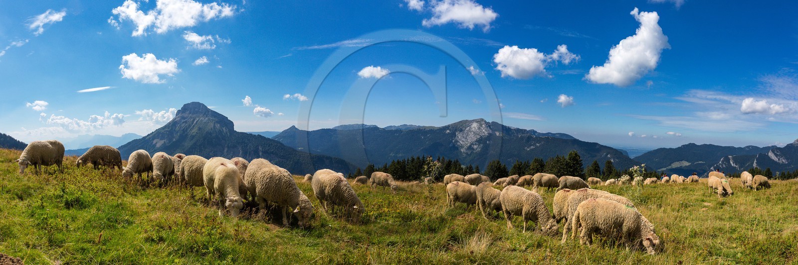 Espace naturel sensible de l'Isère, Col du Coq