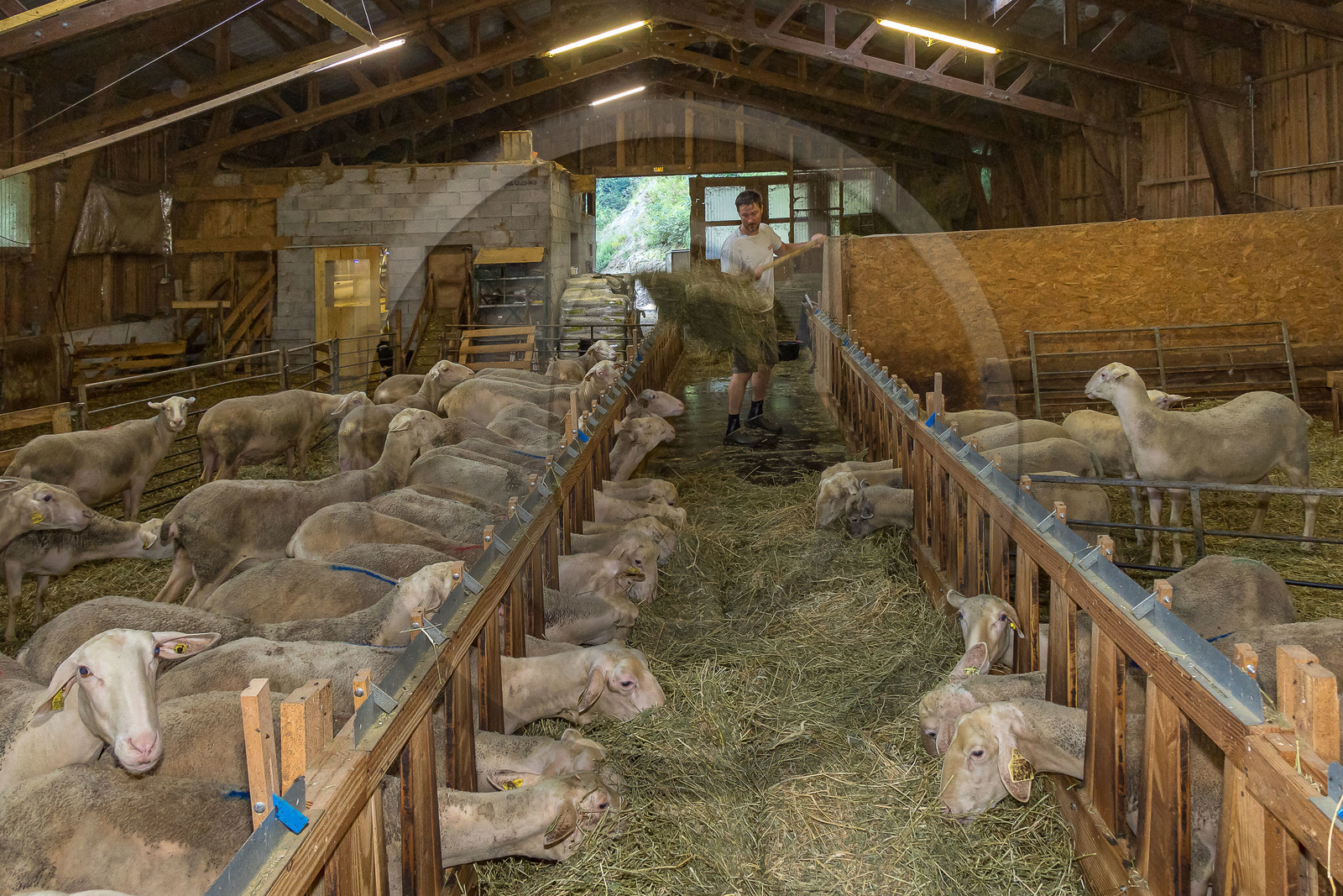 Bergerie de la Lignarre