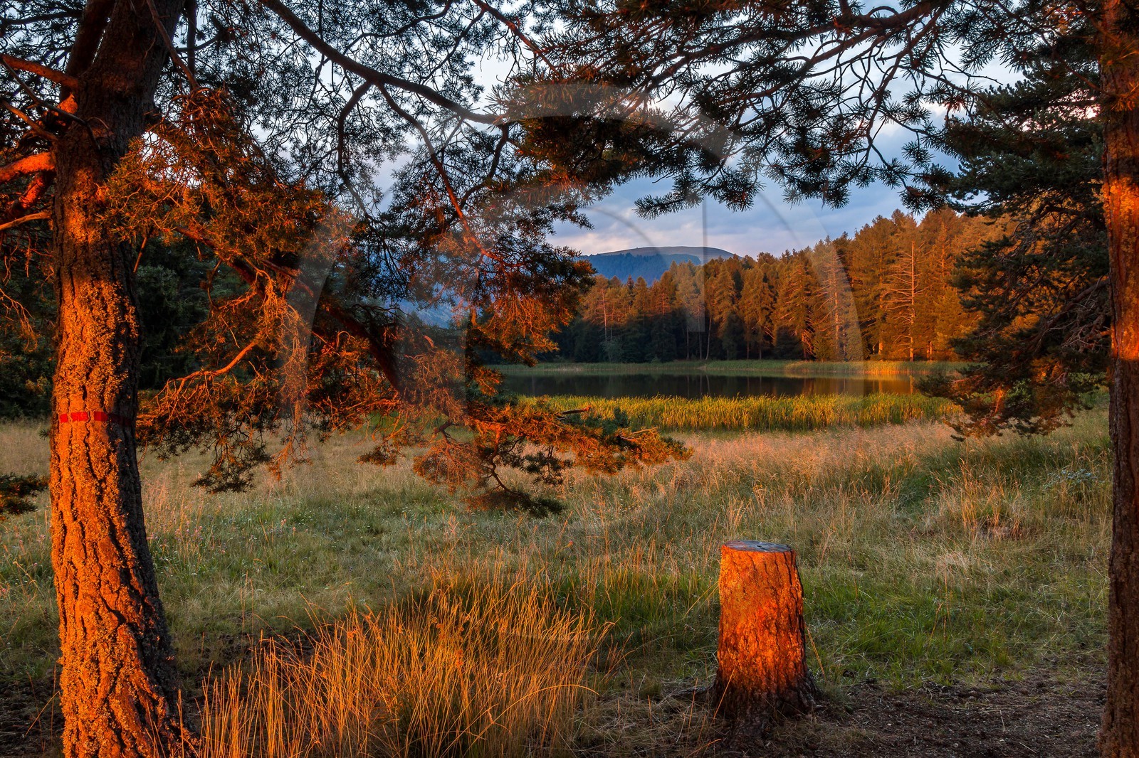 Esparron-La-Bâtie, lac d'Esparron