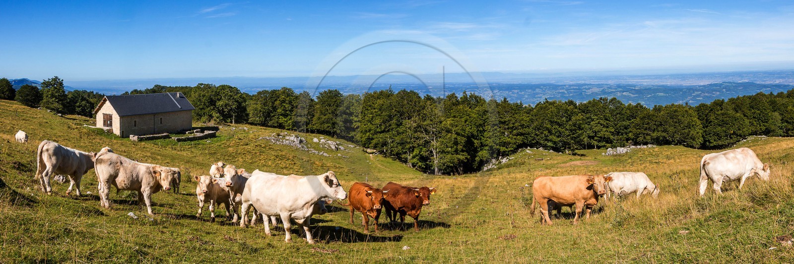 ENS de l'Isère, Les Ecouges, Fessole