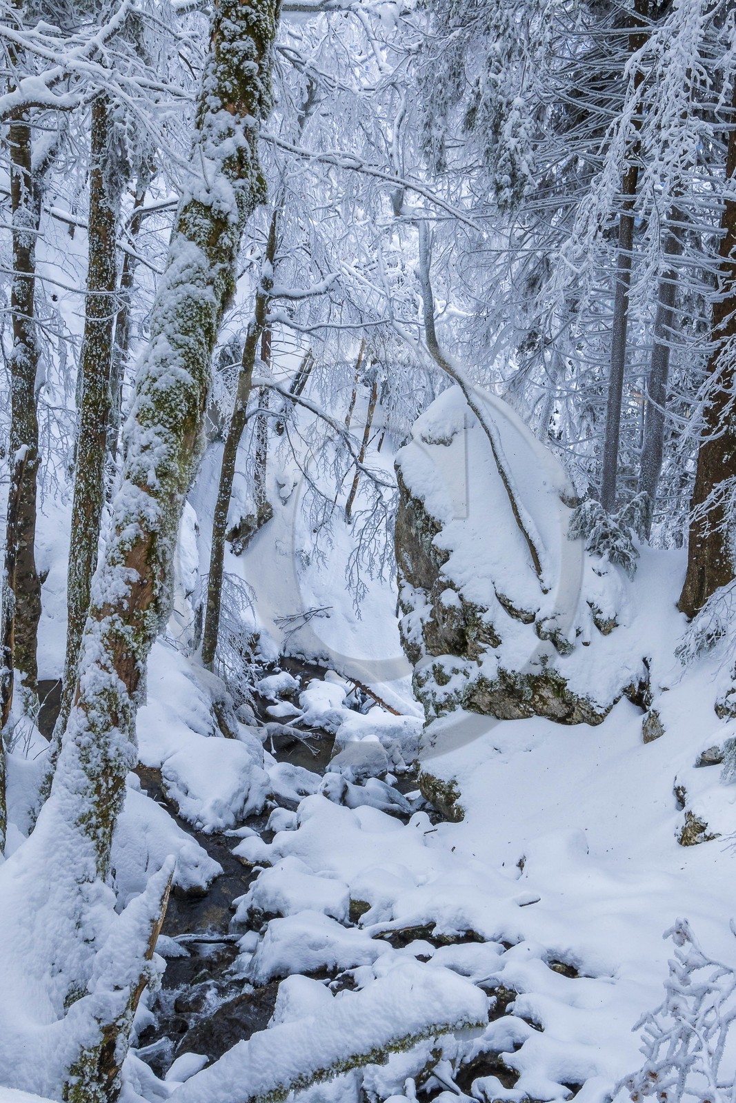 ENS de l'Isère, Les Ecouges