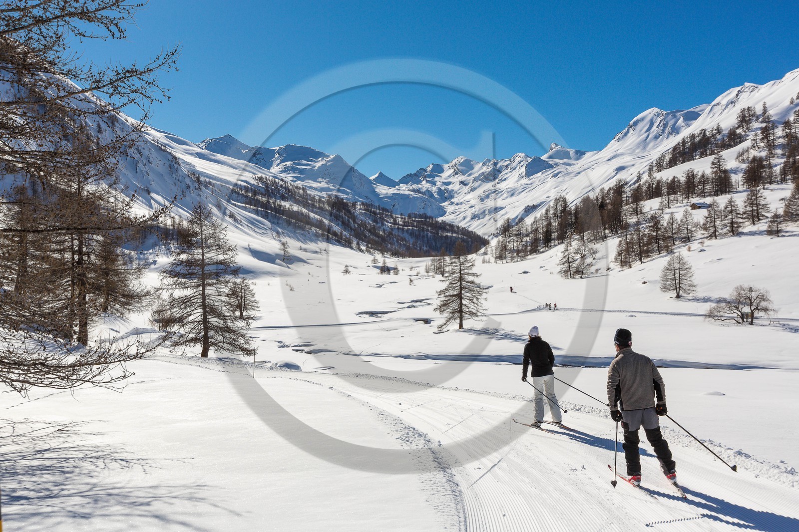 Larche, col de Larche, ski de fond dans le vallon du Lauzanier