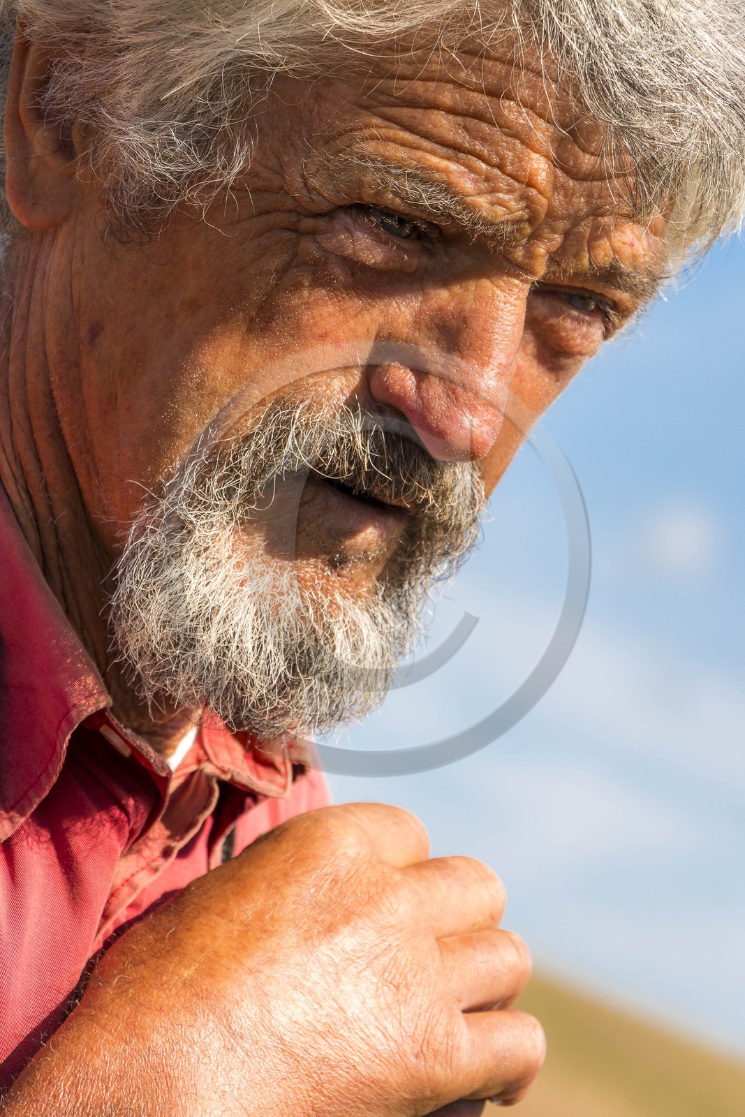 Alpage du Gau, le berger Guy Achard et Camille Magrit, bergère stagiaire