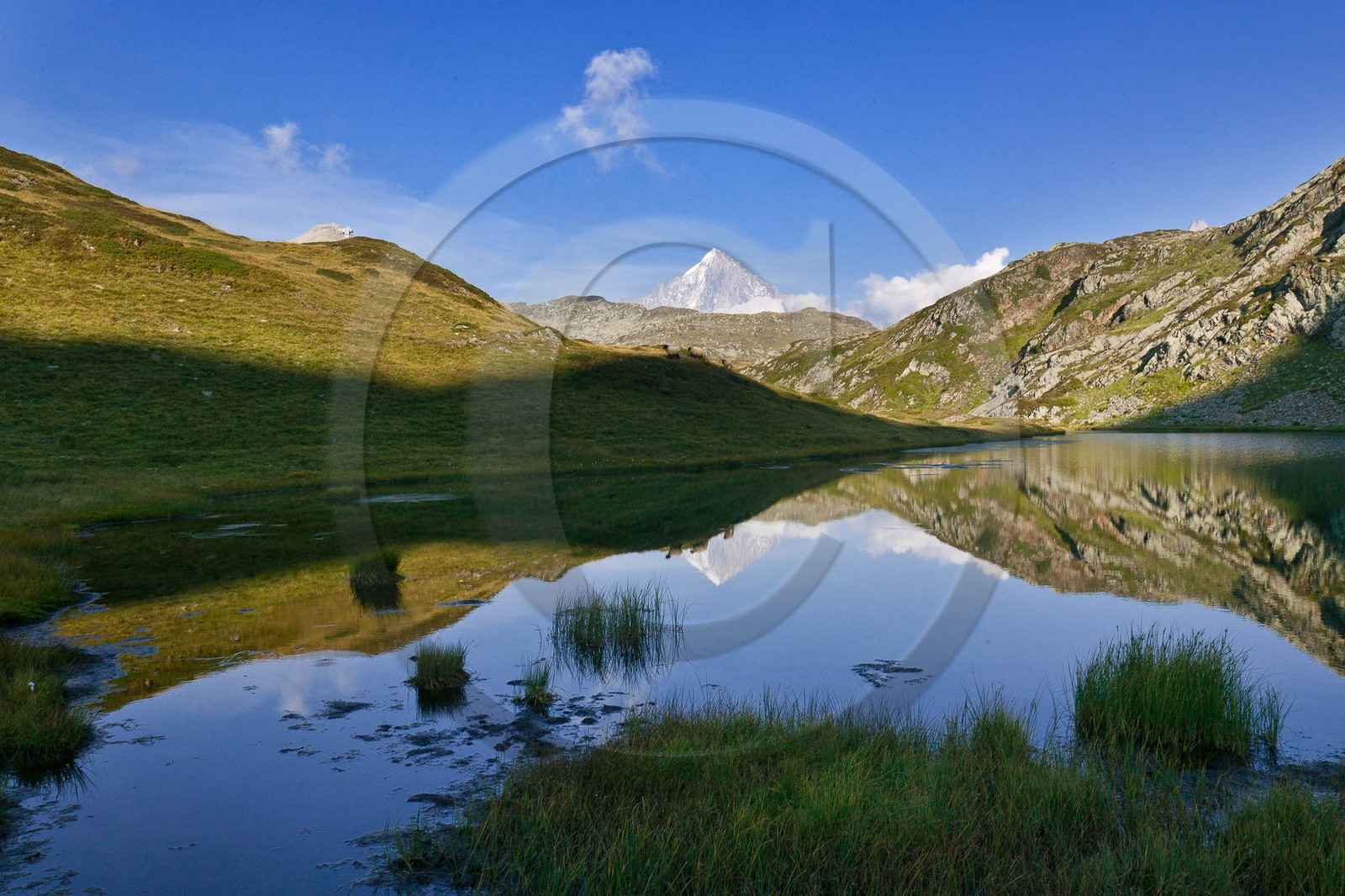 Réserve naturelle de Carlaveyron, Lac de l'Aiguillette