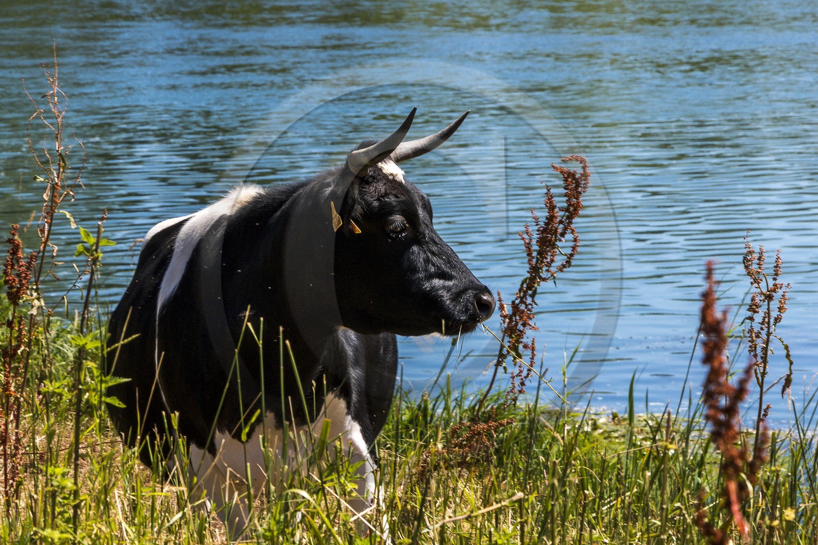 ENS de l'Isère, , le méandre des Oves