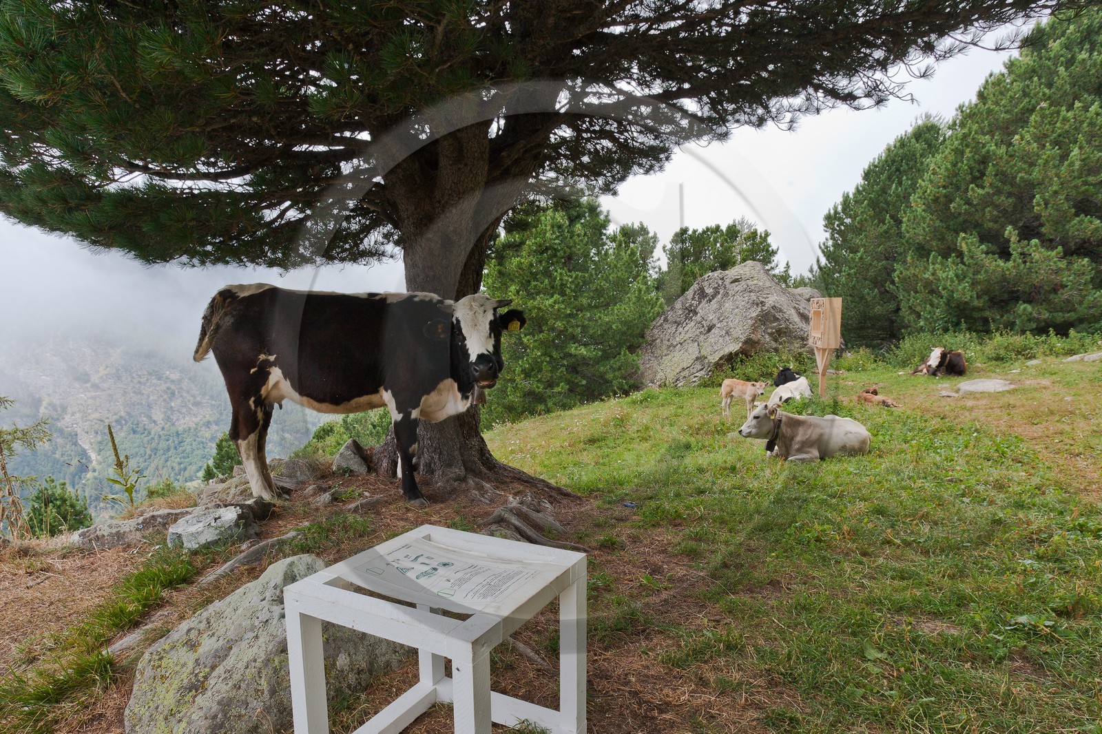 Sentiers Art et Nature Queyras et Val Varaita, Jean-François Marc