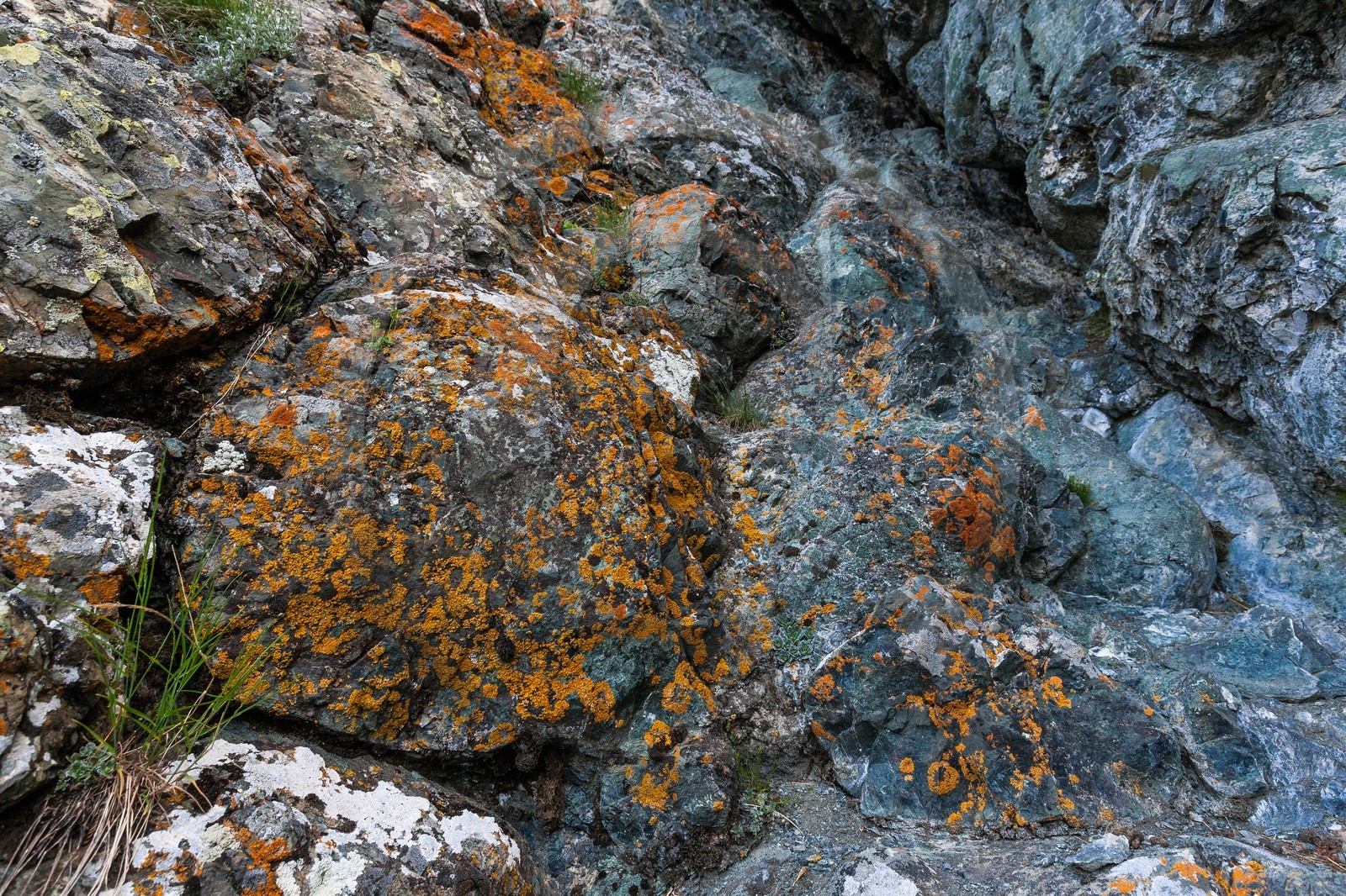 Montgenèvre, Le Chenaillet, ophiolites
