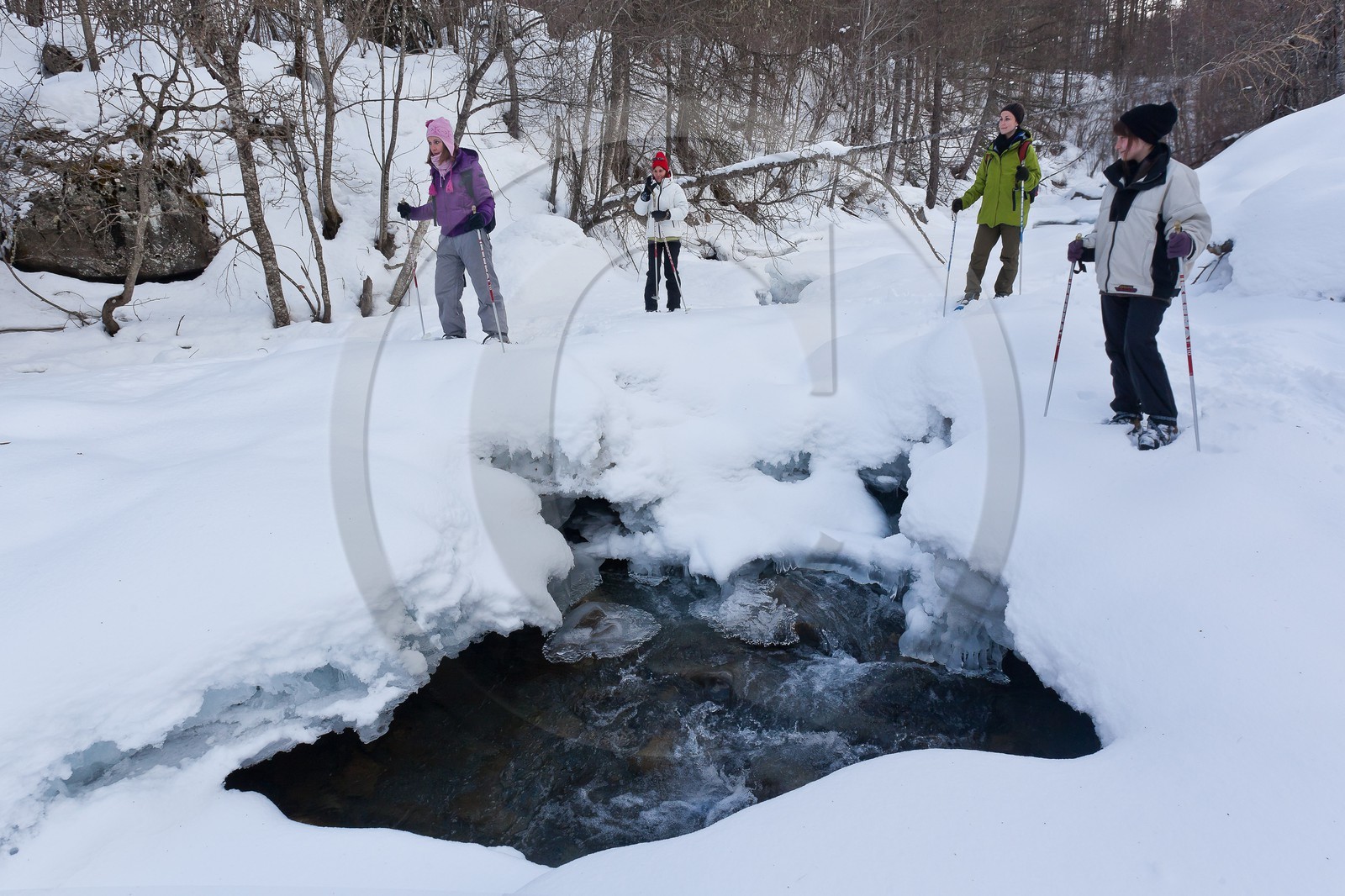 Randonnée raquettes