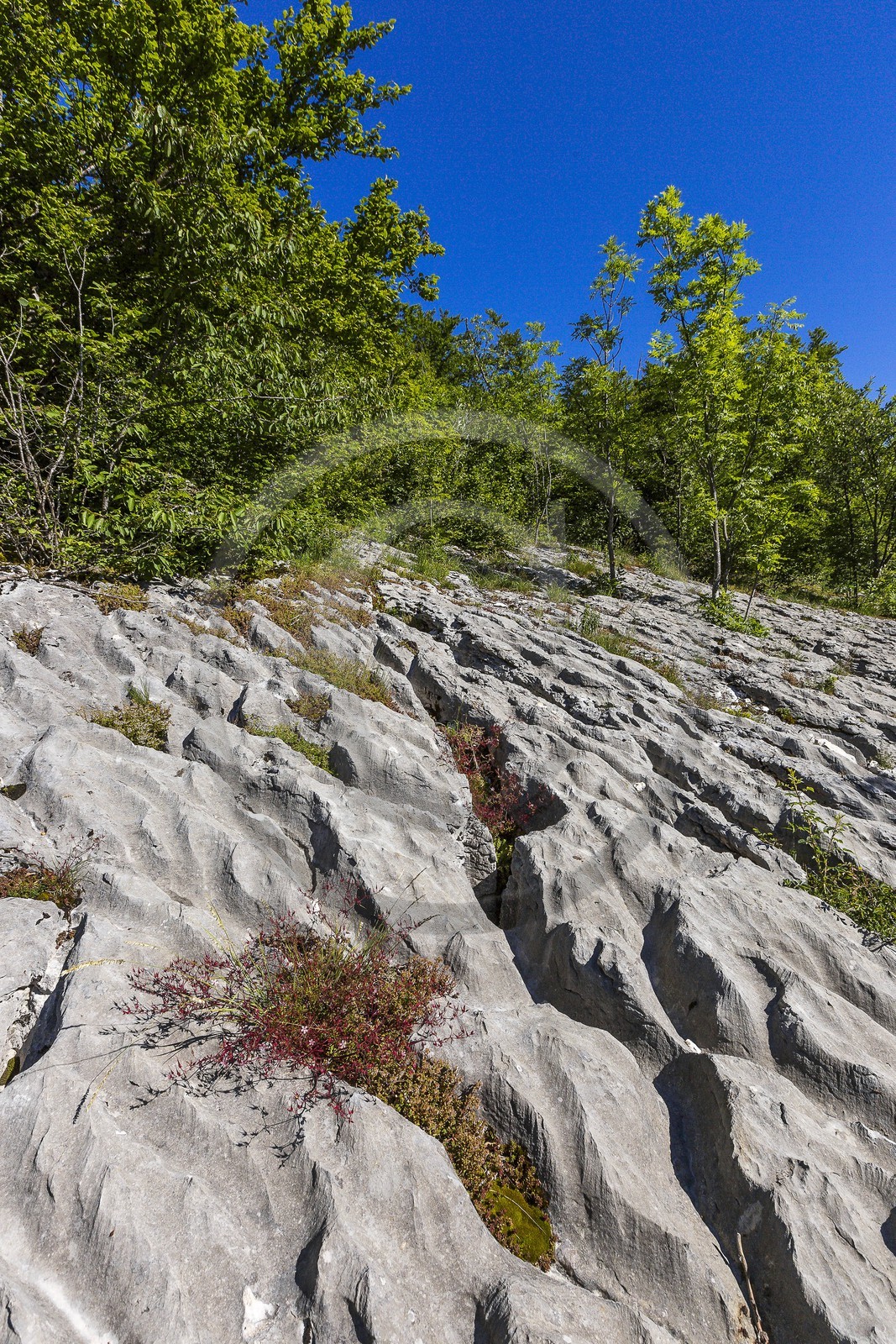 ENS de l'Isère, vallée fossile des Rimets