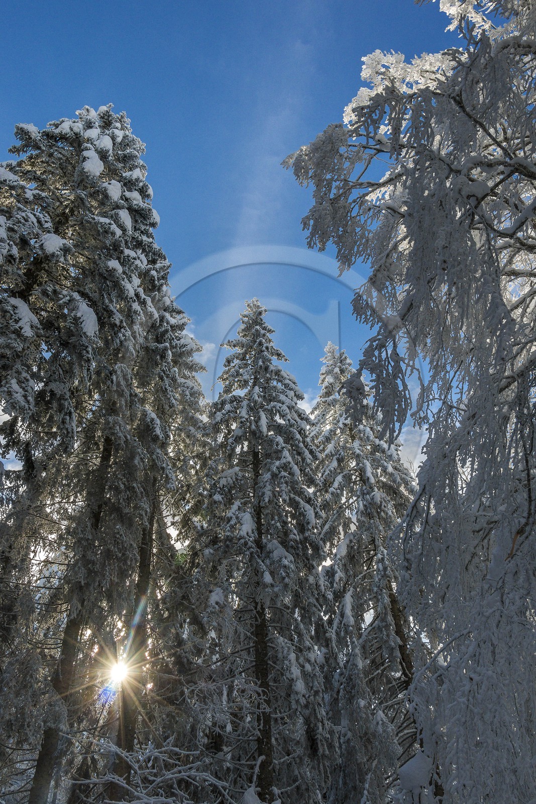 ENS de l'Isère, Les Ecouges