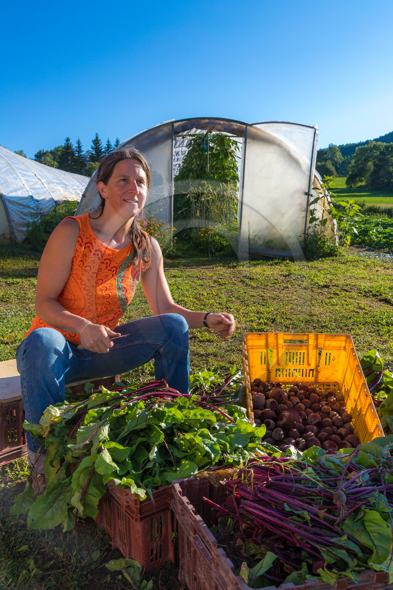 LéguMontagne, Sylvie Jaussaud et  Bertille Gieu, Maraîchères bio