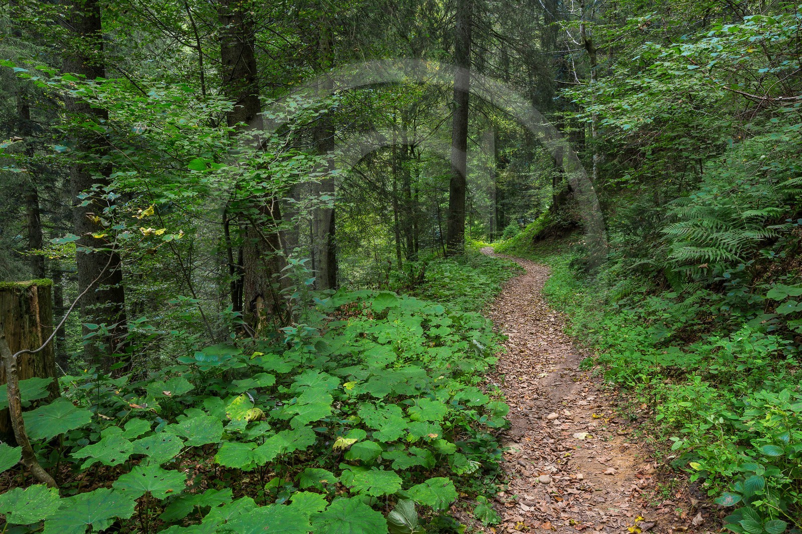 ENS de l'Isère, Les Ecouges