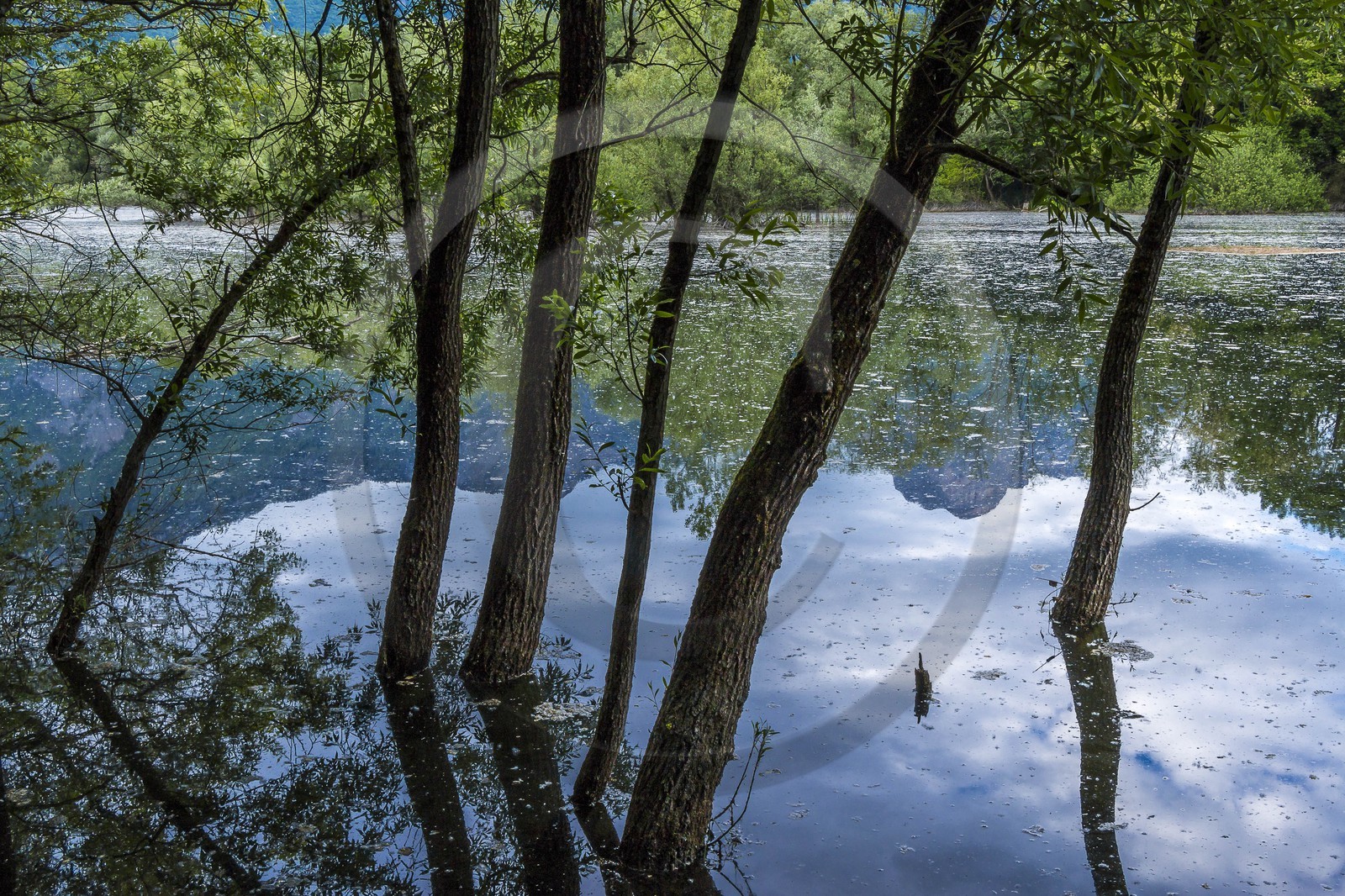 ENS de l'Isère, bois de la Bâtie