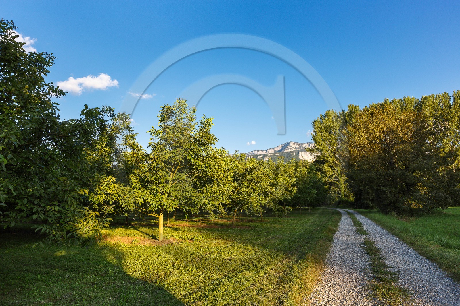 ENS de l'Isère, Boucle des Moïles