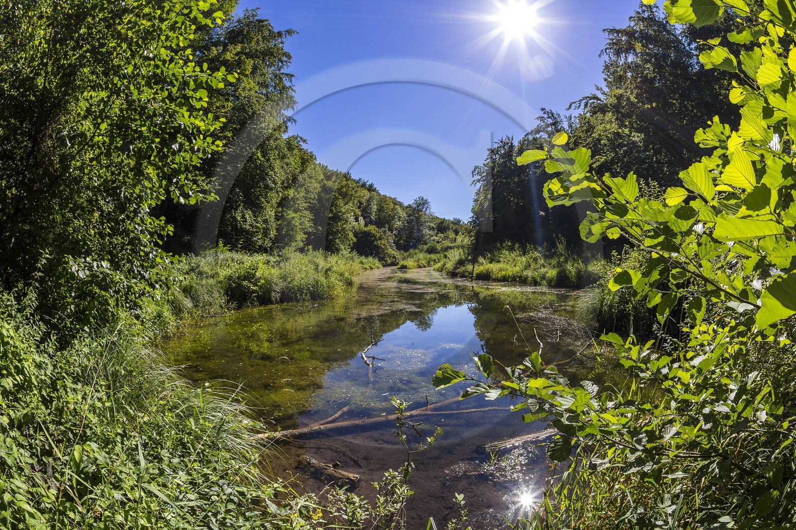ENS de l'Isère, étang de Cote Manin