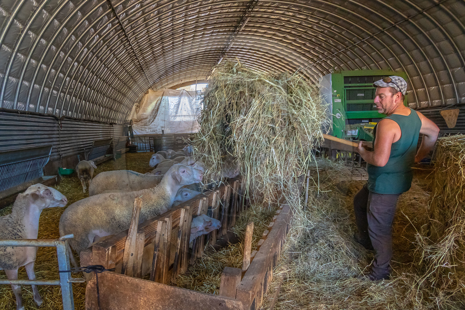 Ferme des Bichoux