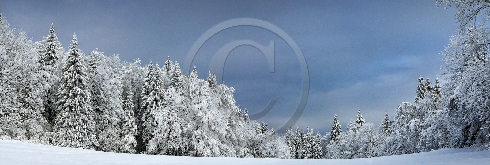 ENS de l'Isère, Les Ecouges