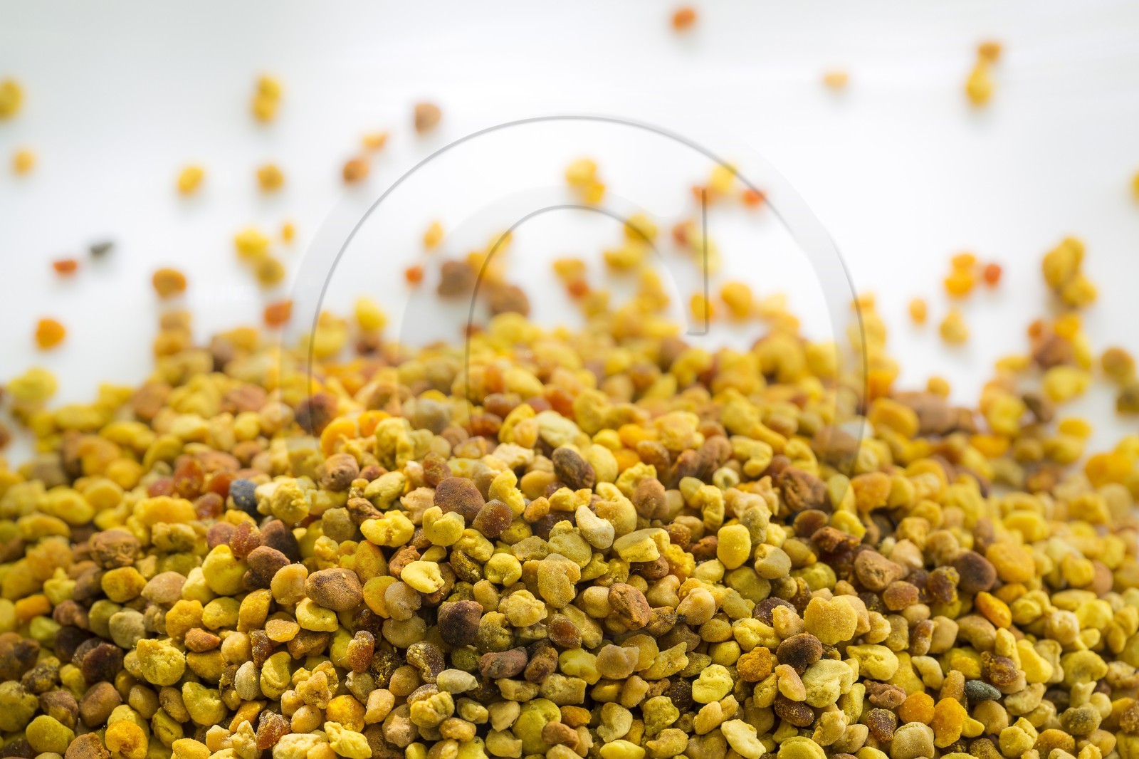 Mathieu Picavet, apiculteur