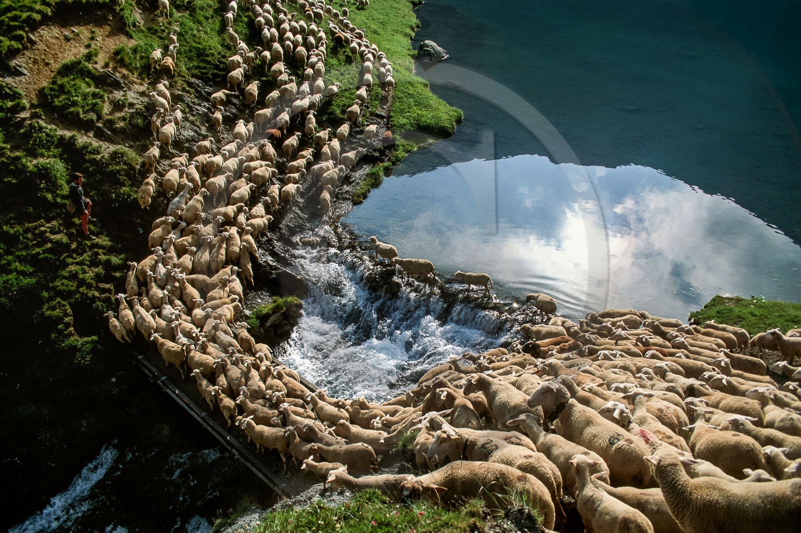 Pierre Barban, berger de l'alpage de la Muzelle