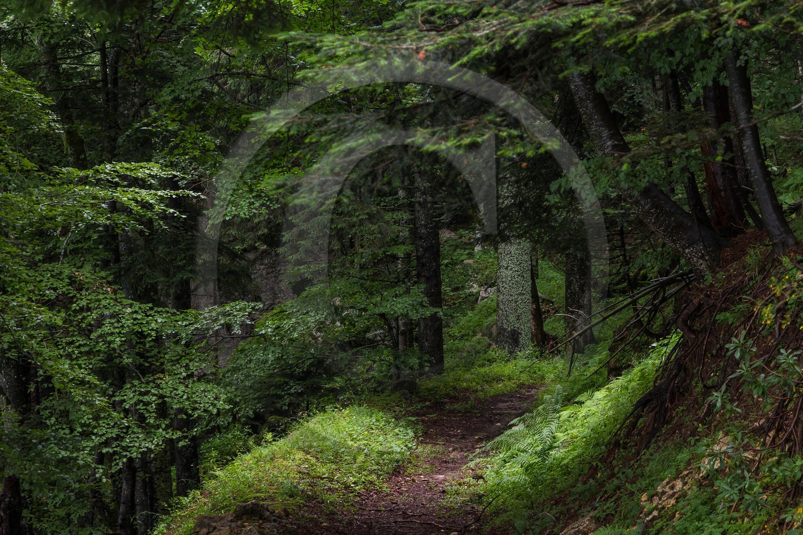 ENS de l'Isère, Les Ecouges