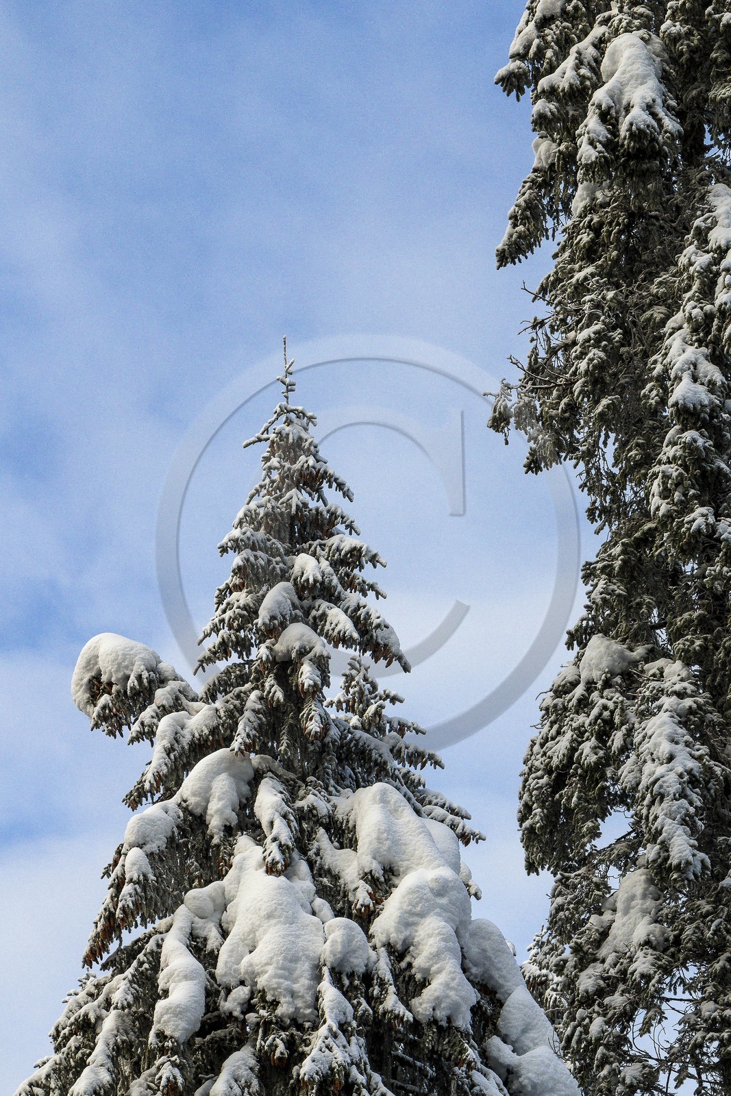 ENS de l'Isère, Les Ecouges